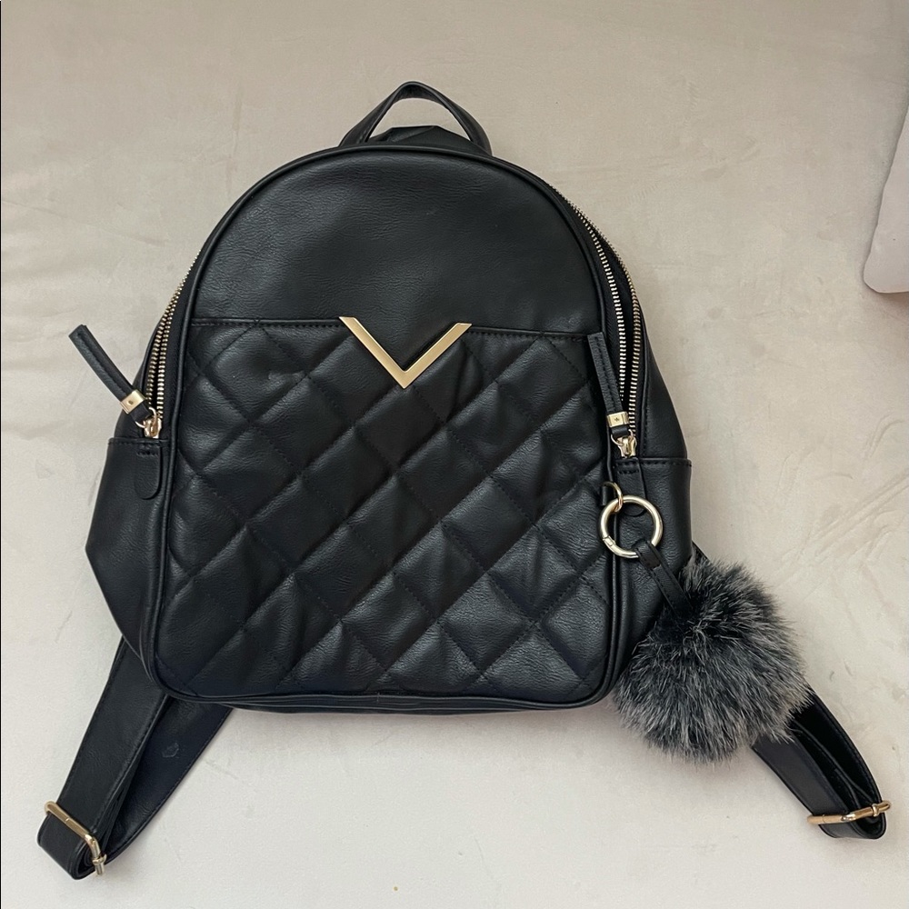 Aldo backpack
